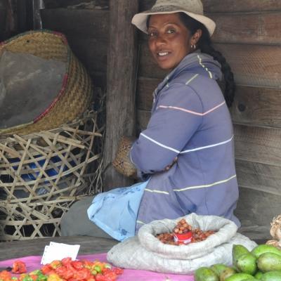 On the Projects Abroad French Language Course in Madagascar, students are encouraged to explore and chat to locals. While learning French in Madagascar, students also explore places like markets and chat to local vendors to boost their skills.